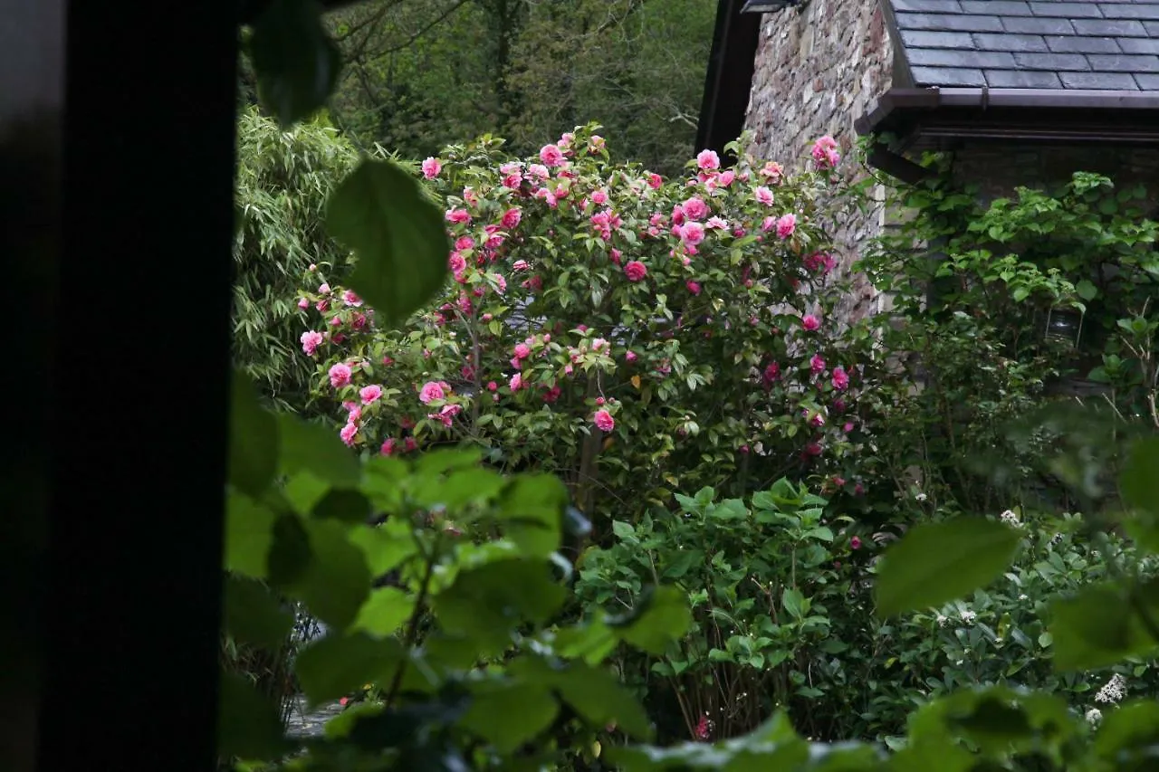Ty Carreg Fach Staycation Cottage Cardiff 0*,  United Kingdom
